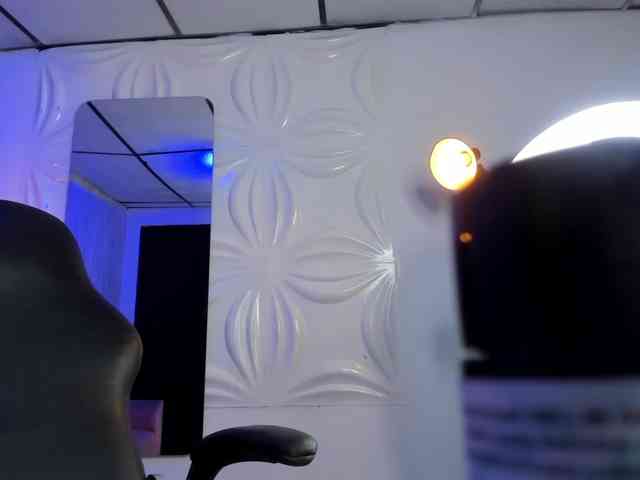 Hannawells webcam
