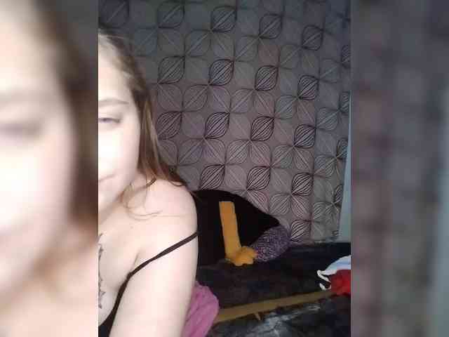 pryttykitty webcam