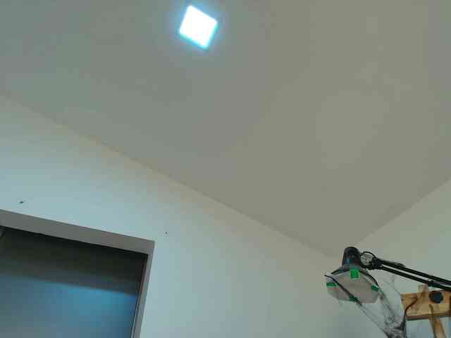 MusaFervorosa webcam