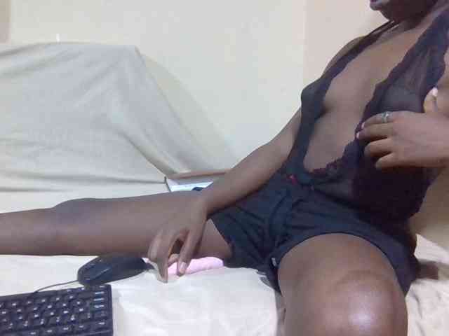 Night-pal1 Night-pal1