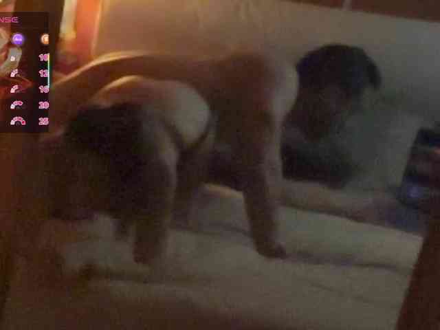 Rubiaguarrilla webcam