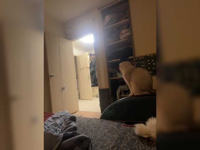 Preview of alyonushka-and-ivanushka