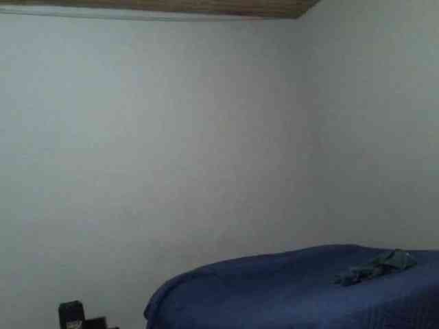 Ferrari1996-1 Ferrari1996-1