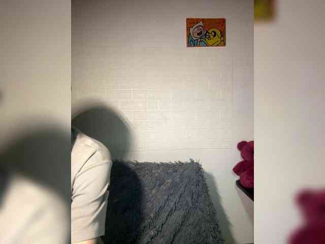 lediice webcam