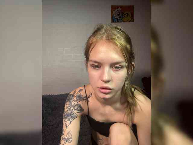 lediice webcam