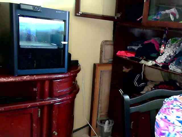 Vicctorialove webcam