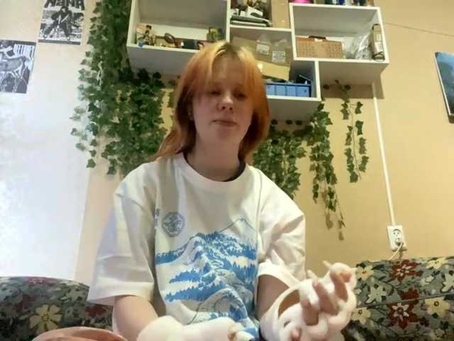 Preview of shellikvek