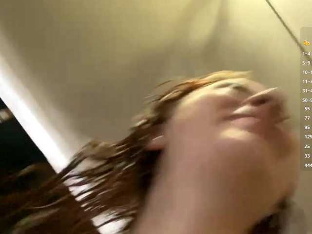 Preview of shellikvek