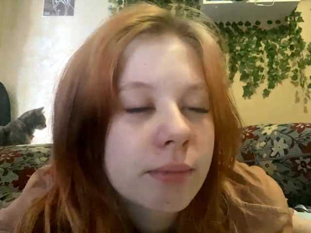 ShelliKvek webcam