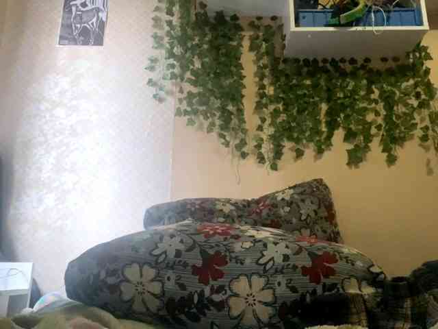 ShelliKvek webcam