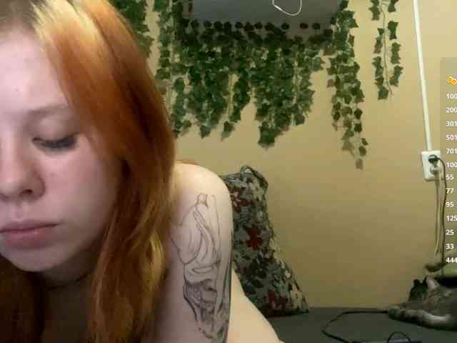 ShelliKvek webcam