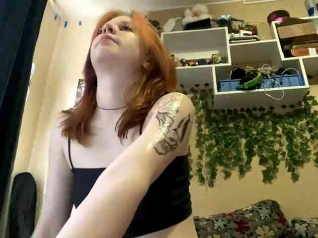 ShelliKvek webcam