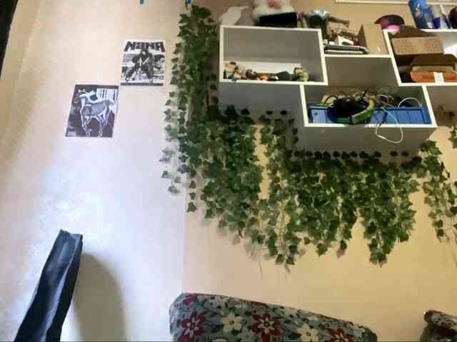 ShelliKvek webcam