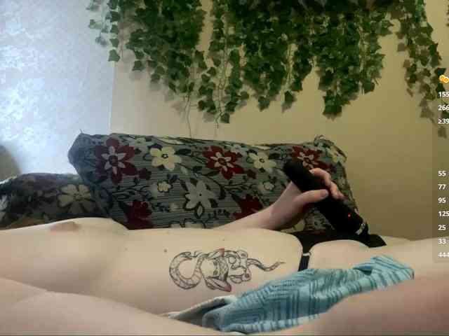 ShelliKvek webcam