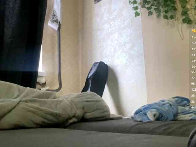 ShelliKvek webcam