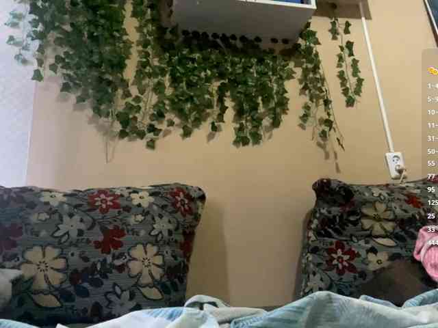ShelliKvek webcam