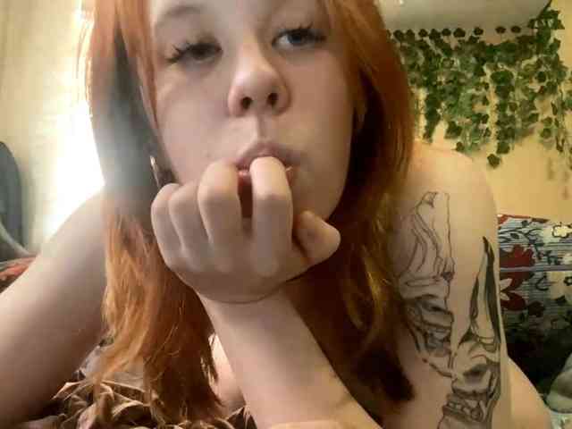 ShelliKvek webcam