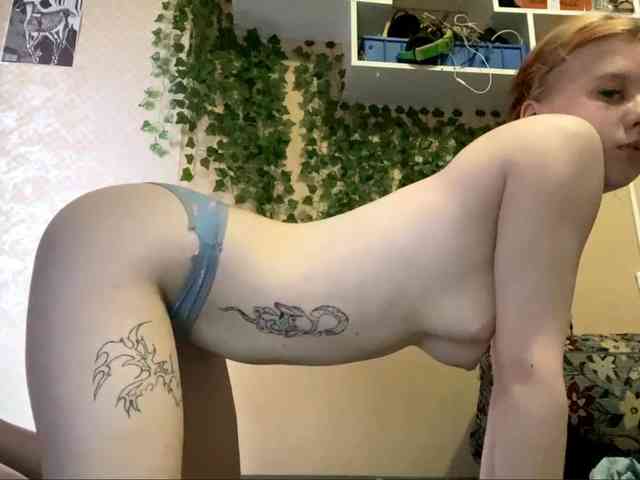 ShelliKvek webcam