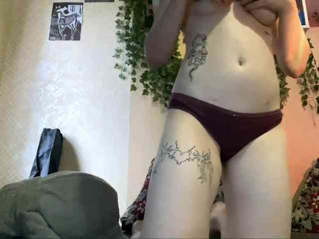 ShelliKvek webcam
