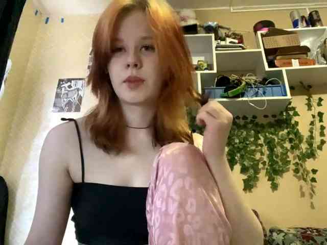 ShelliKvek webcam
