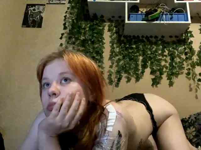 ShelliKvek webcam