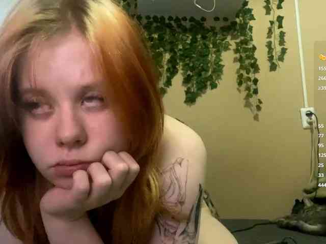 ShelliKvek webcam