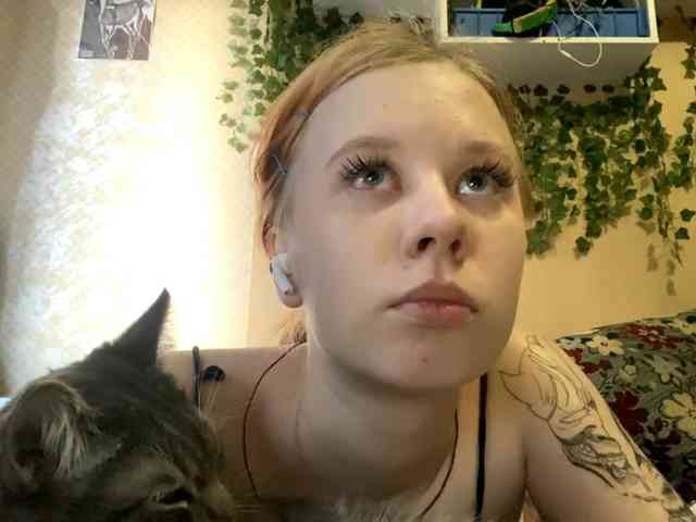 ShelliKvek webcam