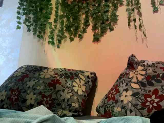 ShelliKvek webcam