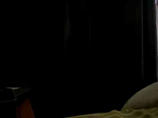 ShelliKvek webcam