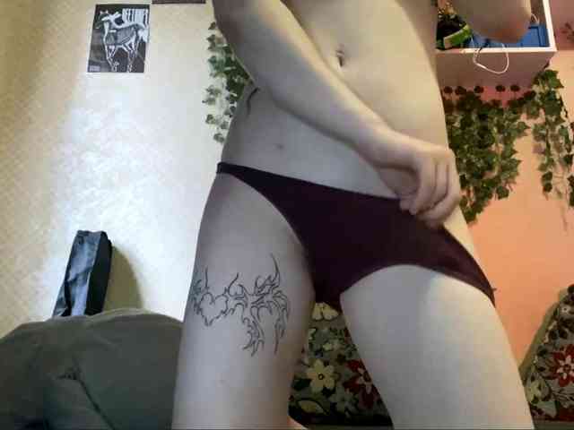 ShelliKvek webcam