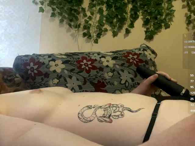 ShelliKvek webcam