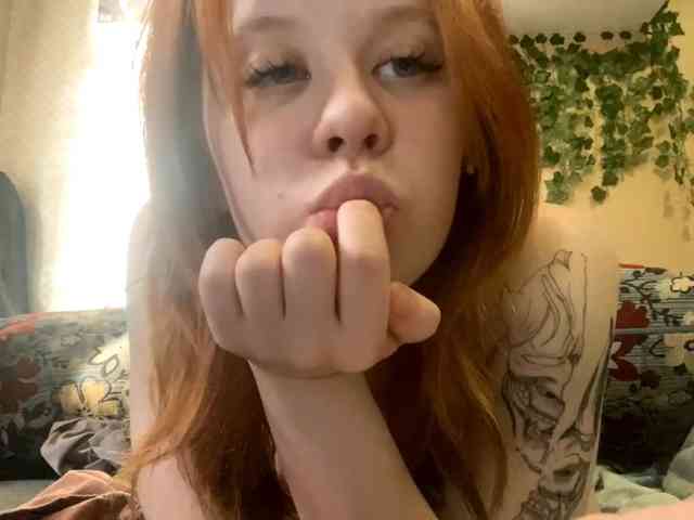 ShelliKvek webcam