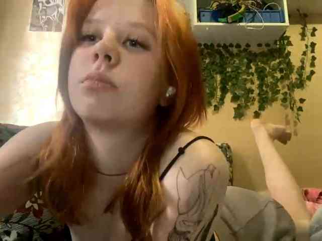 ShelliKvek webcam