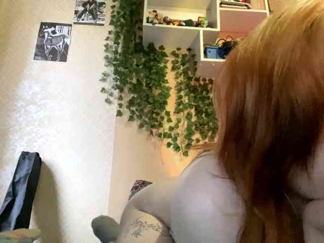 ShelliKvek webcam