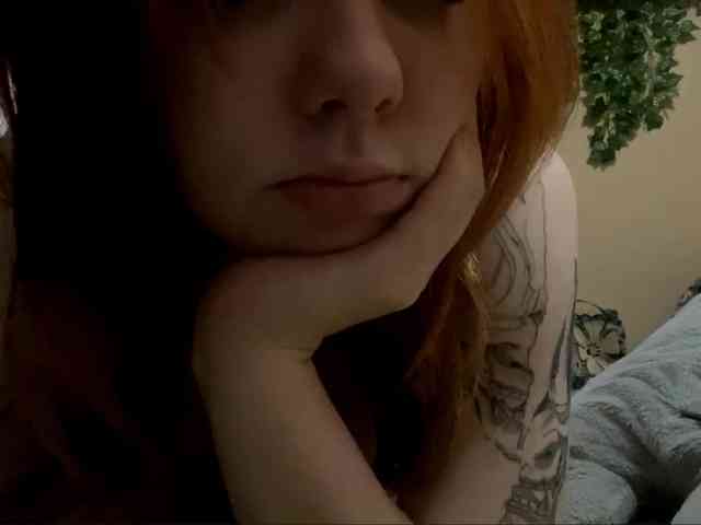 ShelliKvek webcam