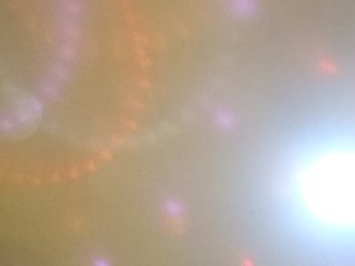 PanteraNeagra Porn Show