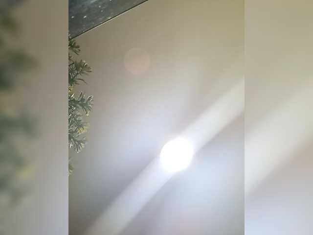 PanteraNeagra's BongaCams show and profile