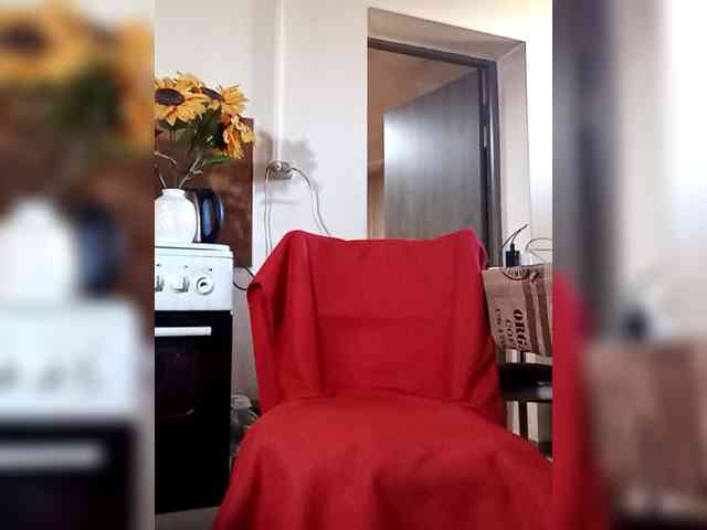 PanteraNeagra webcam