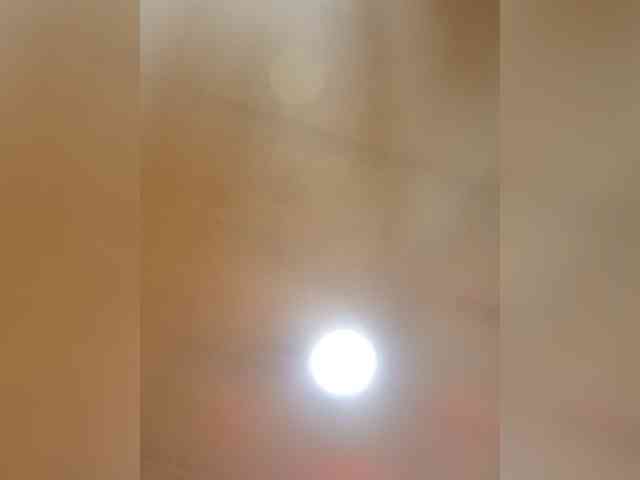 PanteraNeagra webcam