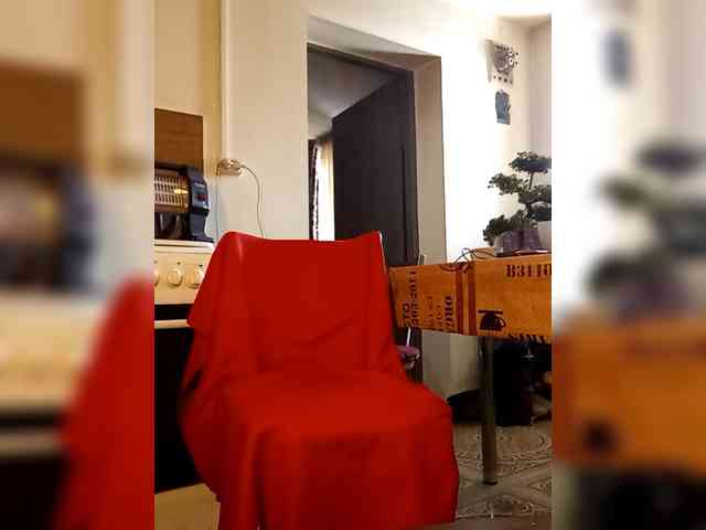 PanteraNeagra webcam