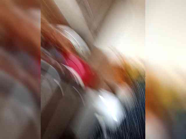 PanteraNeagra webcam