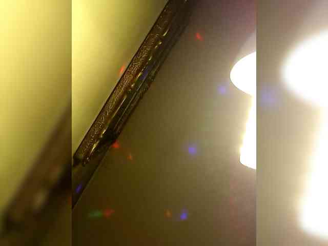 PanteraNeagra webcam