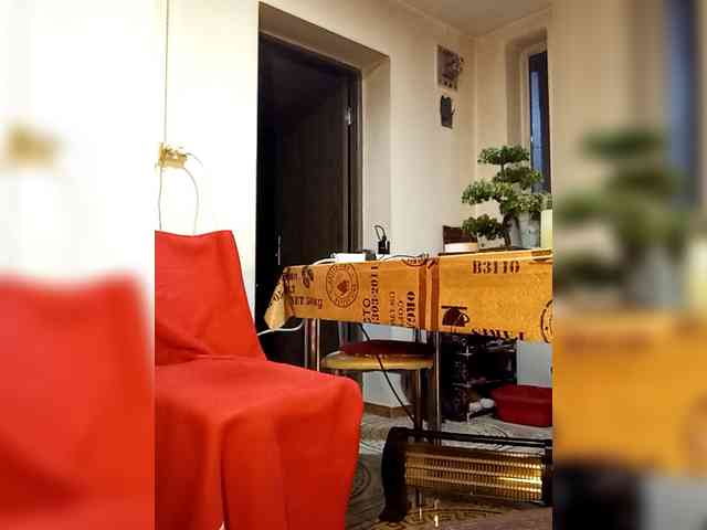 PanteraNeagra webcam