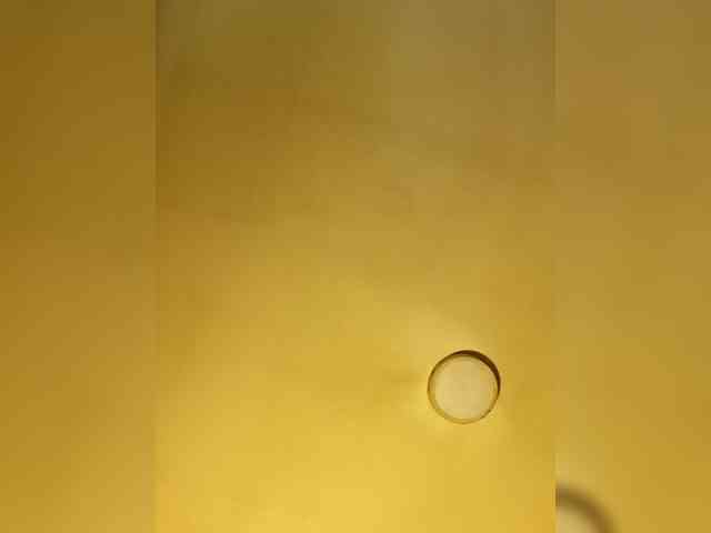 PanteraNeagra webcam