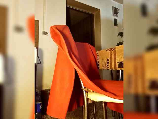 PanteraNeagra webcam