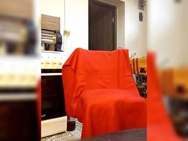 PanteraNeagra PanteraNeagra