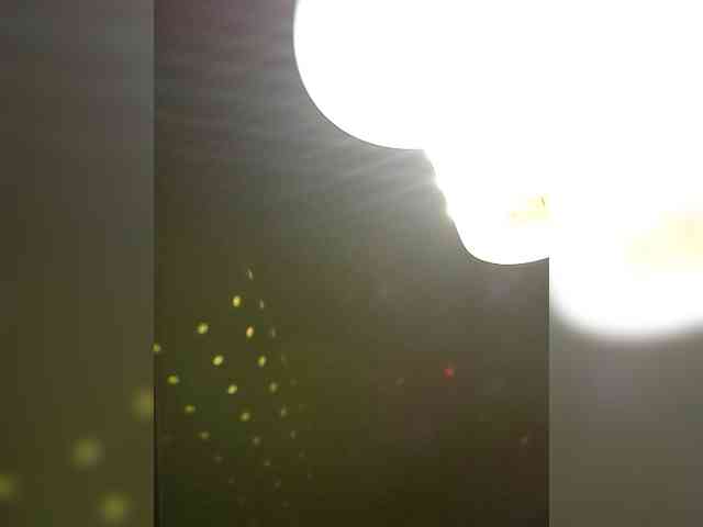 PanteraNeagra Live Webcam on BongaCams