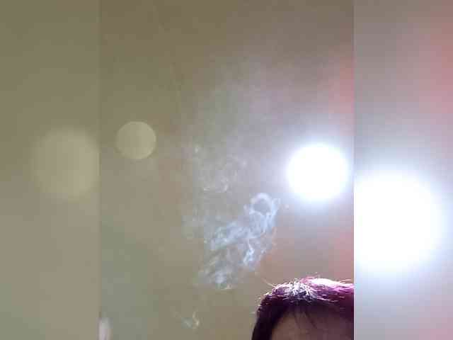 PanteraNeagra webcam
