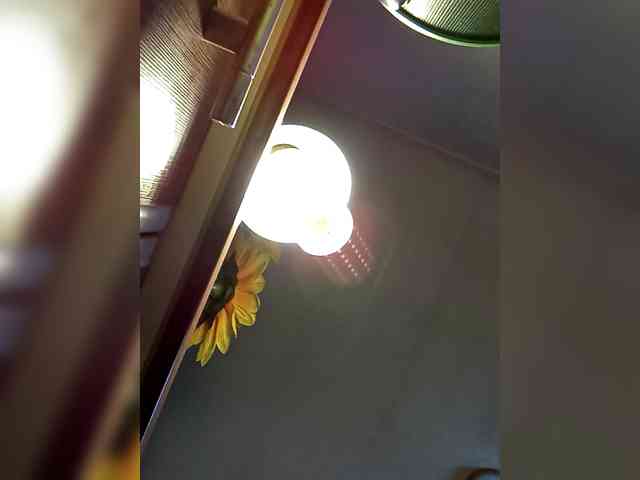 PanteraNeagra webcam