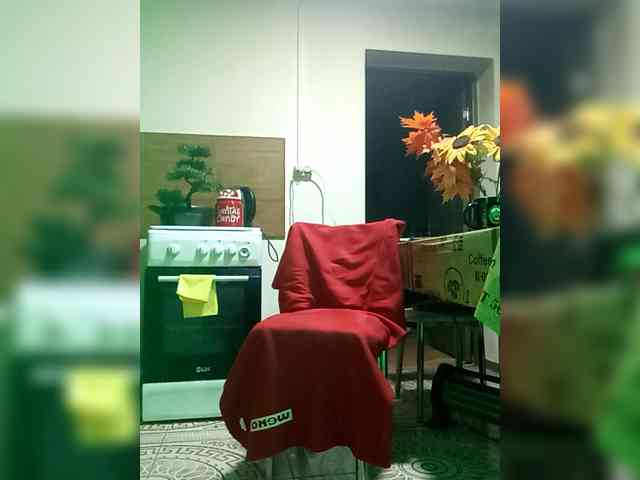 PanteraNeagra webcam